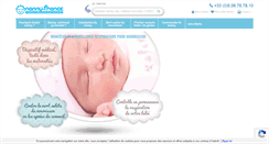 Desktop Screenshot of nanny-france.com